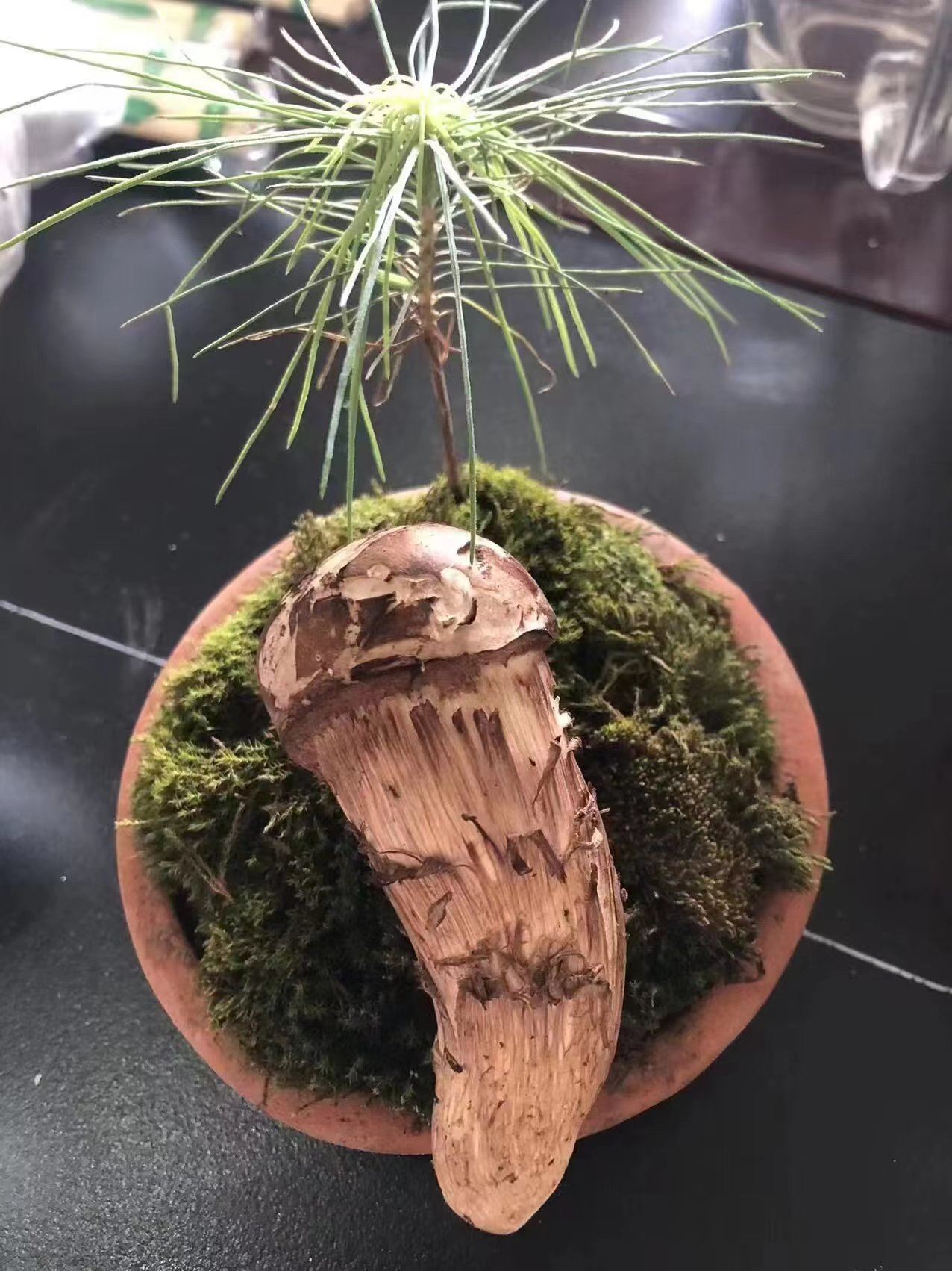 微(wēi)信圖片_20240604140514