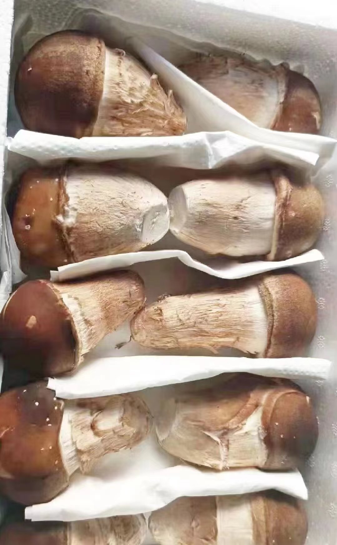 微(wēi)信圖片_20240604140520